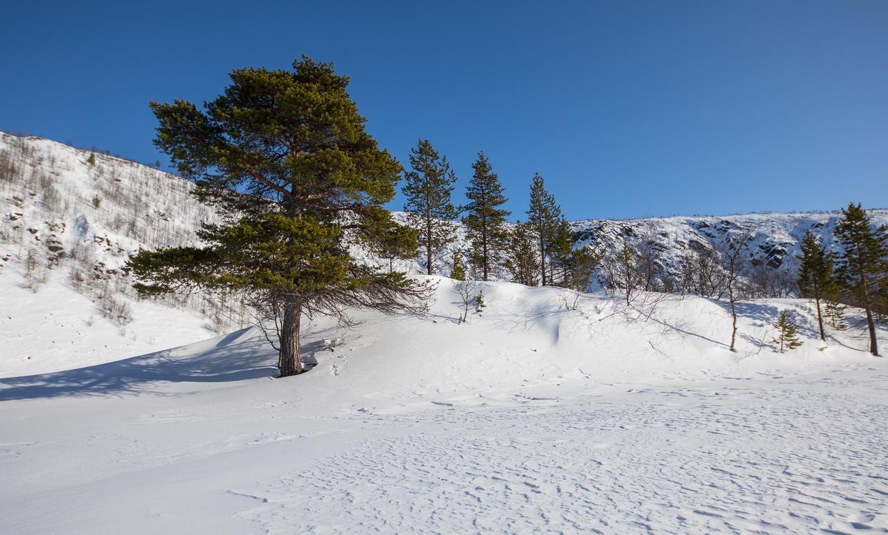 Osman Kelohovi Villa Utsjoki Bagian luar foto