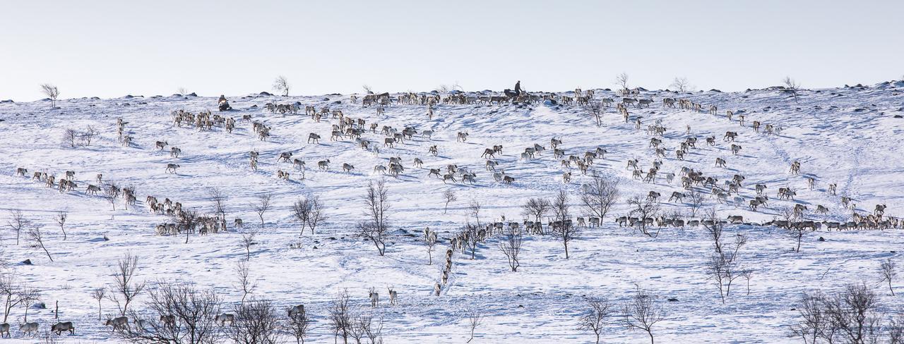 Osman Kelohovi Villa Utsjoki Bagian luar foto